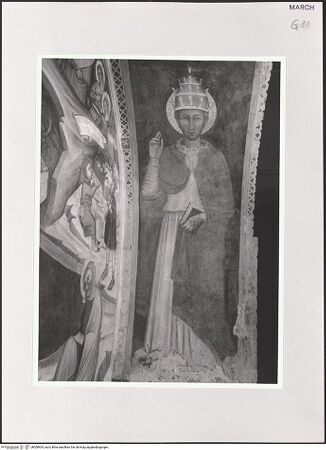 Vorderseite von bh508404_recto