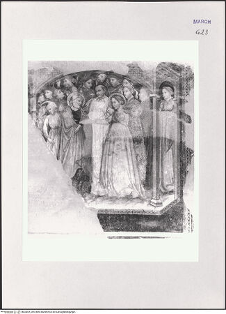 Vorderseite von bh508429_recto