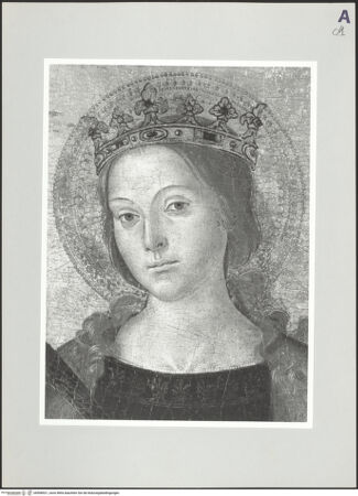 Vorderseite von bh508521_recto