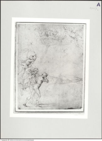 Vorderseite von bh508534_recto