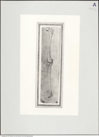 Vorderseite von bh508536_recto