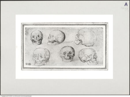 Vorderseite von bh508537_recto