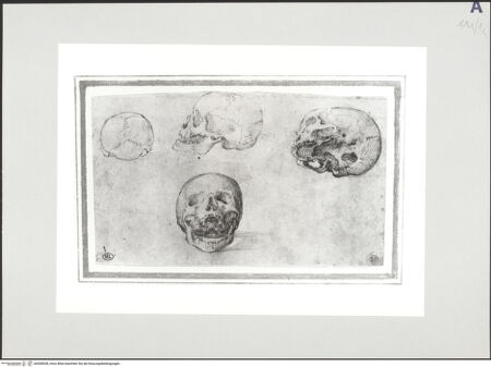 Vorderseite von bh508538_recto