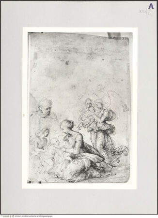 Vorderseite von bh508541_recto