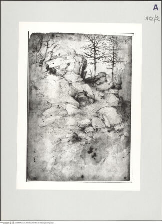 Vorderseite von bh508549_recto