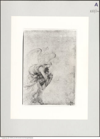 Vorderseite von bh508554_recto