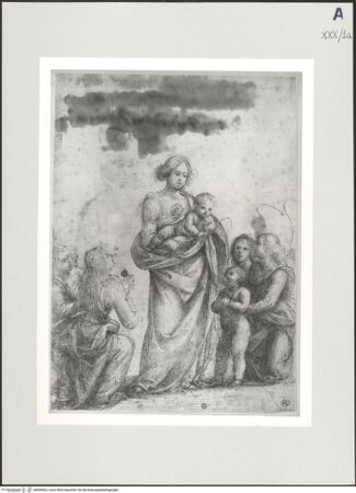 Vorderseite von bh508562_recto