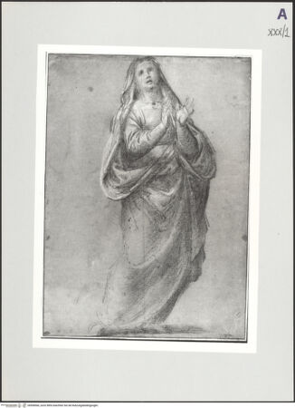 Vorderseite von bh508566_recto