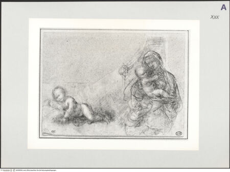 Vorderseite von bh508569_recto