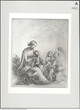 Vorderseite von bh508571_recto