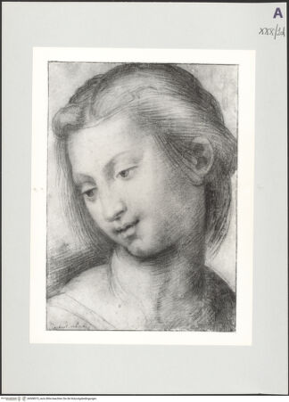 Vorderseite von bh508573_recto