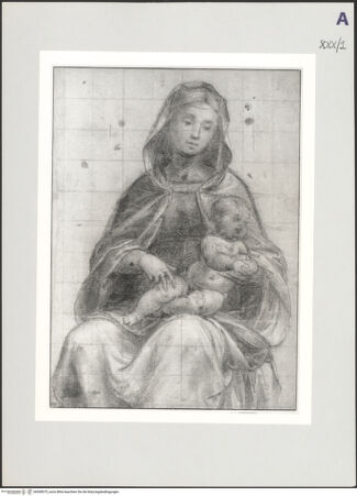 Vorderseite von bh508575_recto