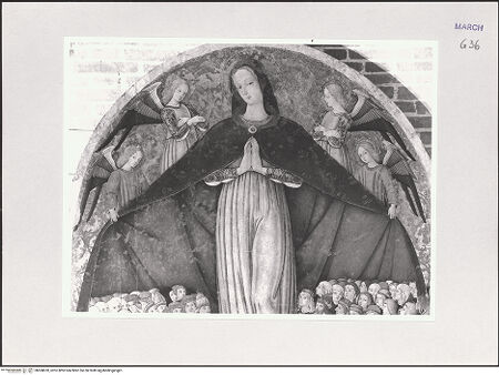 Vorderseite von bh508620_recto