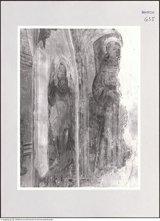 Vorderseite von bh508625_recto