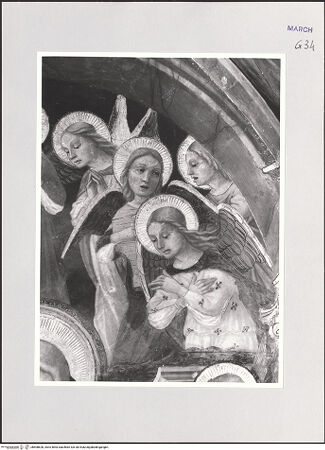 Vorderseite von bh508628_recto