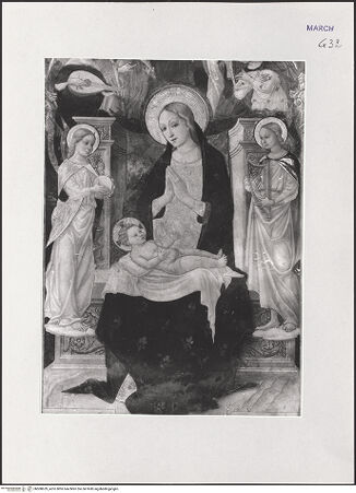 Vorderseite von bh508629_recto