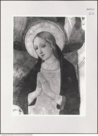 Vorderseite von bh508630_recto