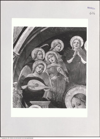 Vorderseite von bh508636_recto