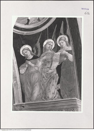 Vorderseite von bh508637_recto