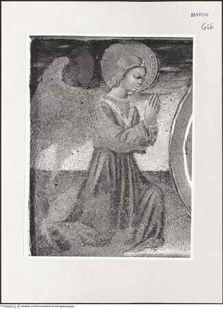 Vorderseite von bh508649_recto