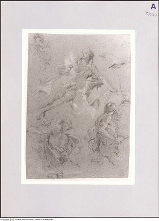 Vorderseite von bh508659_recto