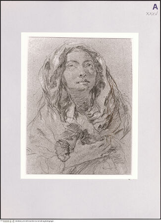 Vorderseite von bh508668_recto