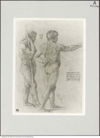 Vorderseite von bh508675_recto