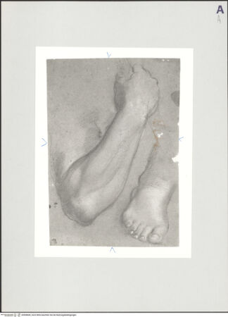 Vorderseite von bh508689_recto