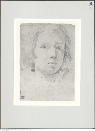 Vorderseite von bh508710_recto