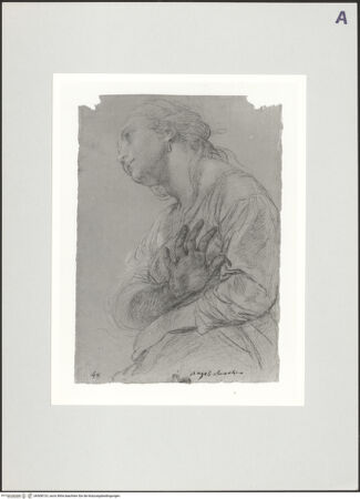 Vorderseite von bh508723_recto