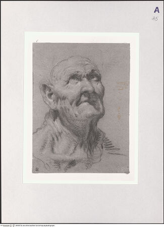 Vorderseite von bh508728_recto