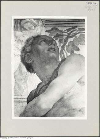 Vorderseite von Musei Vaticani [https://www.deutsche-digitale-bibliothek.de/content/lizenzen/rv-ez/] Die Sixtinische DeckePropheten und SibyllenJonas - Ausschnitt: Kopf, bh508769_recto. Foto.