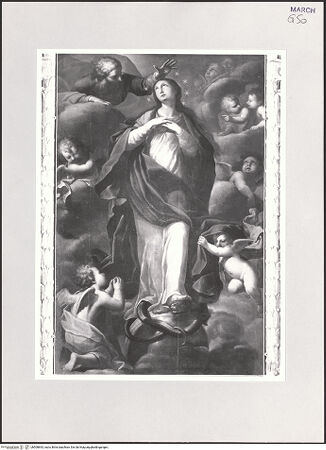 Vorderseite von bh508843_recto