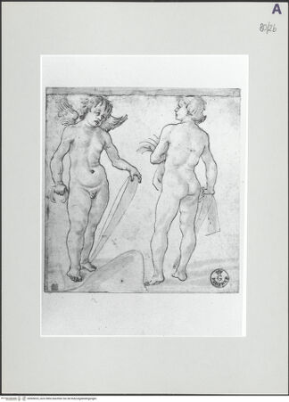 Vorderseite von bh509025_recto