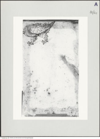 Vorderseite von bh509050_recto