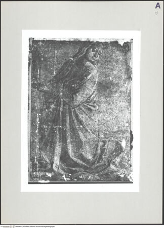 Vorderseite von bh509051_recto