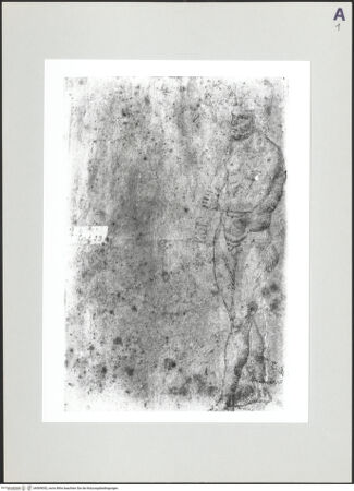 Vorderseite von bh509052_recto