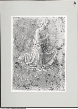 Vorderseite von bh509053_recto