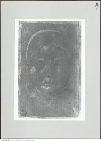 Vorderseite von bh509054_recto