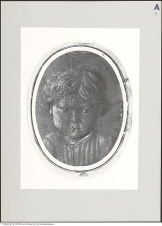 Vorderseite von bh509056_recto