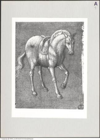 Vorderseite von bh509061_recto