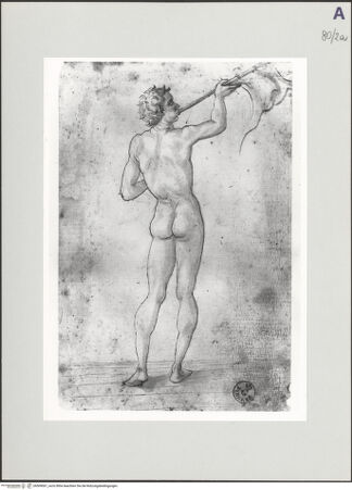 Vorderseite von bh509067_recto