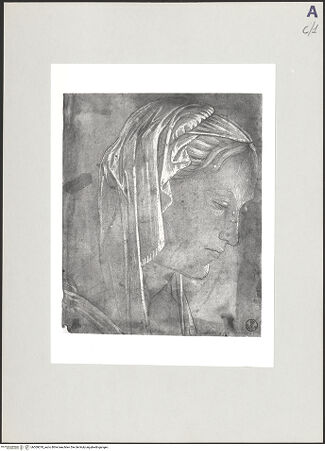 Vorderseite von Sopr BAS Fi [https://www.deutsche-digitale-bibliothek.de/content/lizenzen/rv-ez/] Madonnenkopf - , bh509078_recto. Foto.