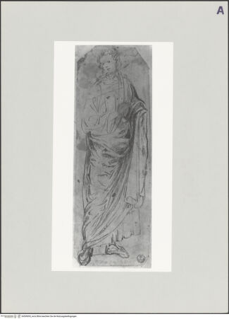 Vorderseite von bh509095_recto