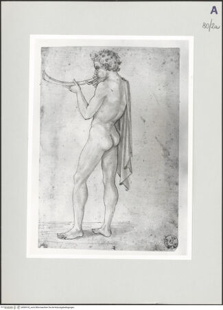 Vorderseite von bh509102_recto