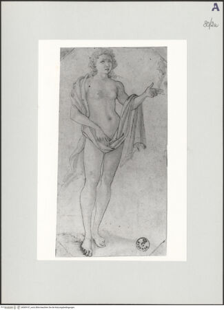 Vorderseite von bh509107_recto