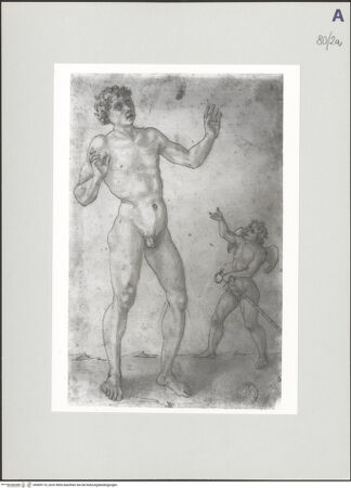 Vorderseite von bh509110_recto