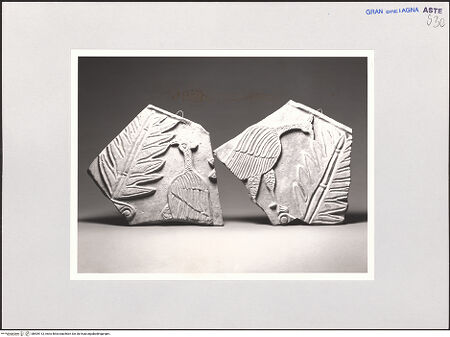 Vorderseite von bh509113_recto