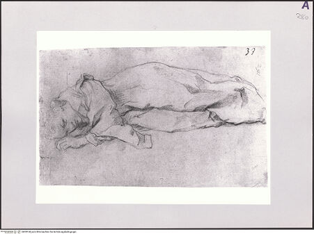 Vorderseite von bh509168_recto