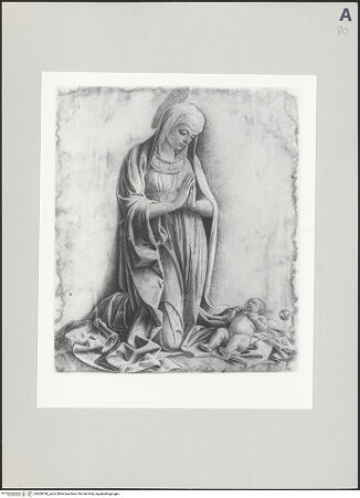 Vorderseite von bh509180_recto